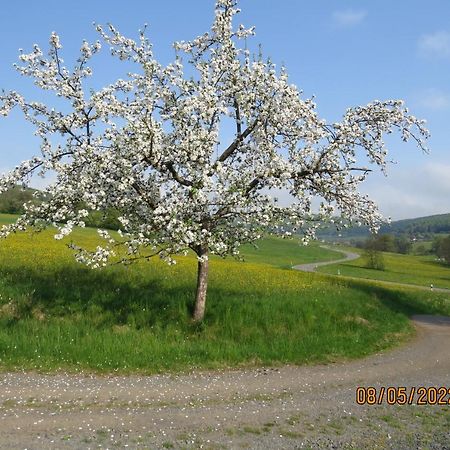 Ferienwohnung Rhoen Kaltennordheim Exteriör bild